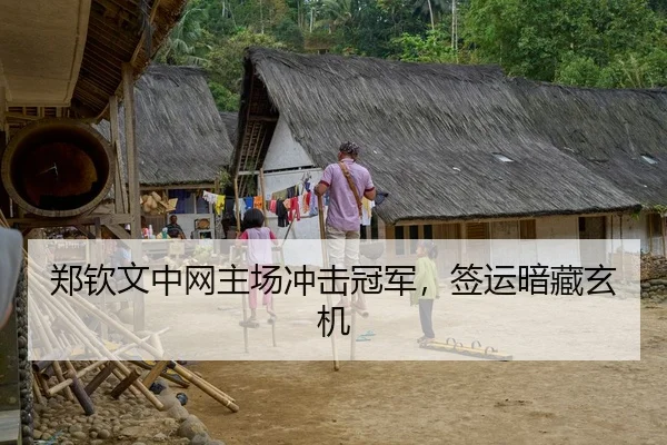 郑钦文中网主场冲击冠军，签运暗藏玄机